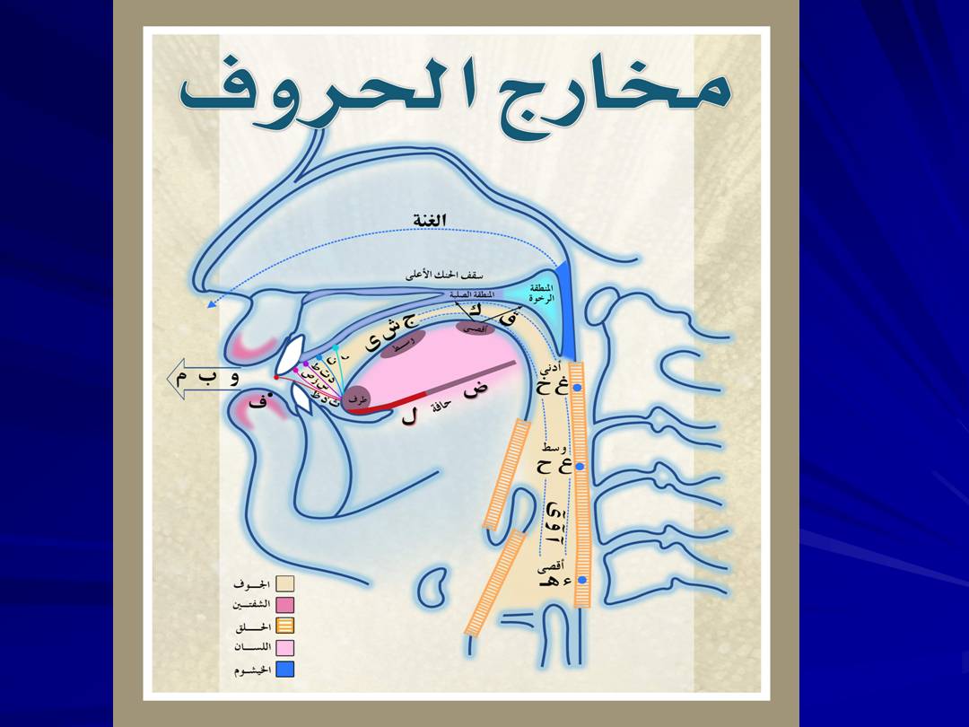 تجويد الحرف - مخارج الحروف